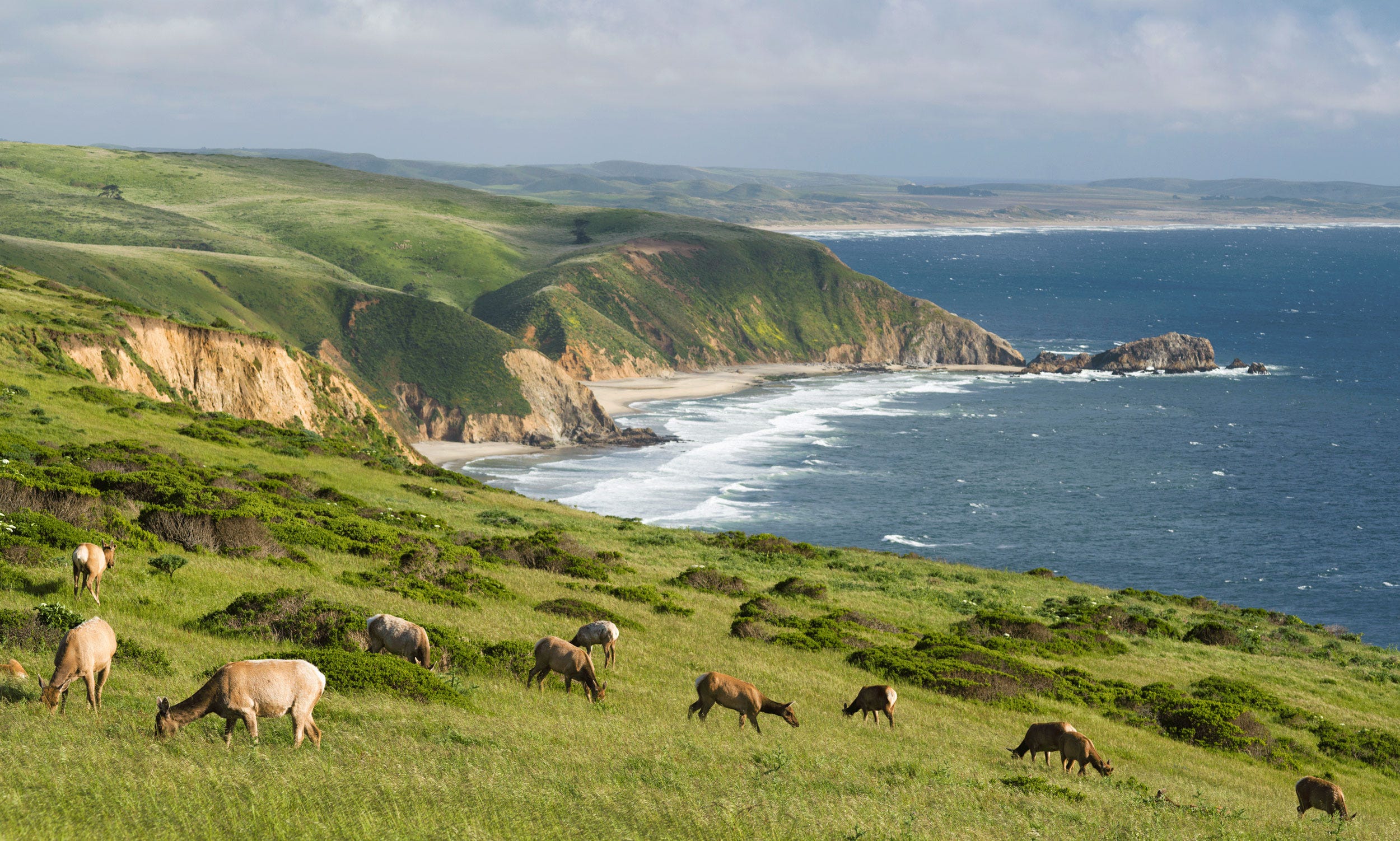 Point Reyes